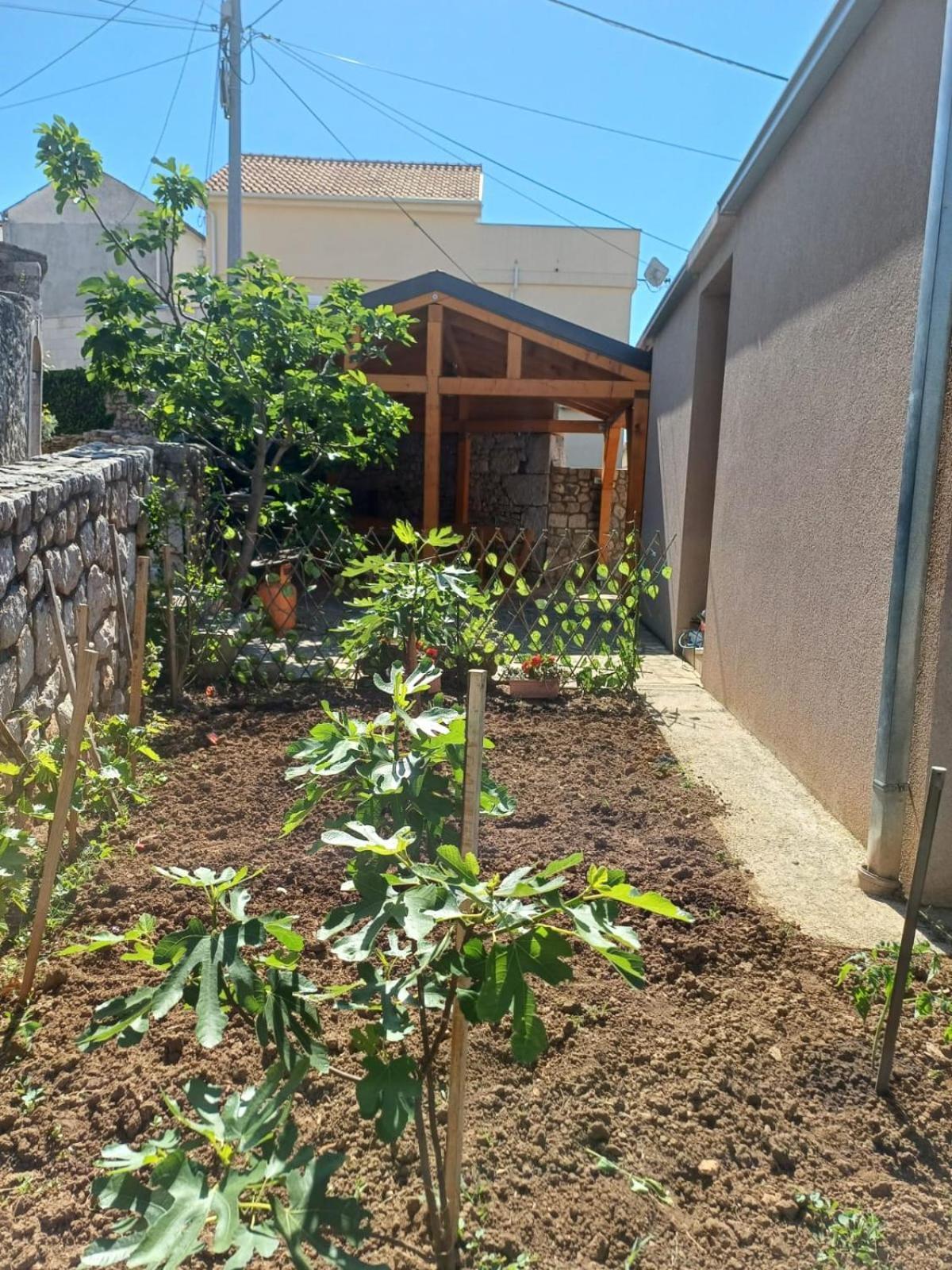 Apartmani Afrodita Crikvenica Extérieur photo